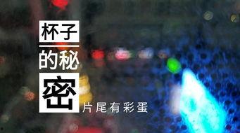 潍坊饭店爆料视频大全集,揭秘幕后真相与精彩瞬间 第3张 潍坊饭店爆料视频大全集,揭秘幕后真相与精彩瞬间 第3张