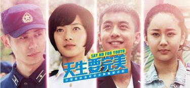 天生要完美在线观看,揭秘完美主义的魅力与挑战