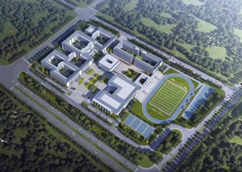 在线观看中央一,精彩瞬间不容错过